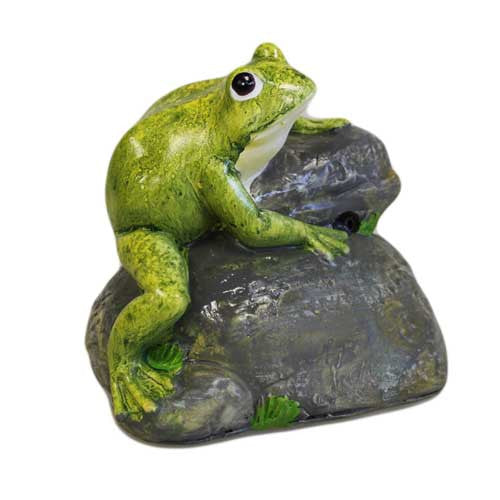 Croak Alert - Frog on Rock (A)