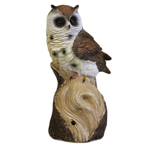 Hoot Alert - Large Owl on Branch