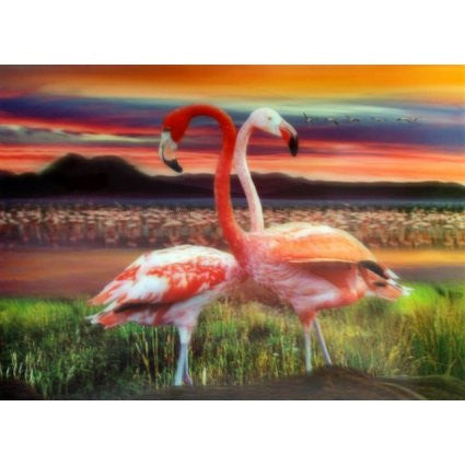 Lrg High Def 3D Pic - Flamingos