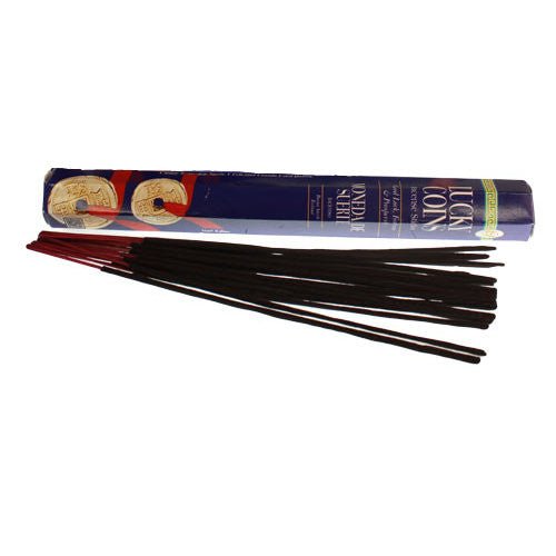 Mystic & Magic - Fengshui Lucky Coins Incense Sticks