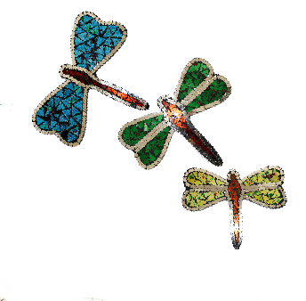 Dragonfly Mirrors Multi Colour (Set of 3)