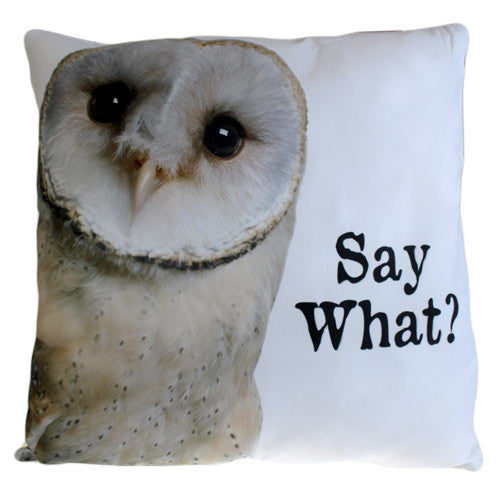 Art Cushion Cover - Say What? OWL