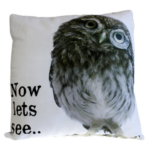 Art Cushion Cover - Now lets see OWL