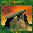 Celtic Visions