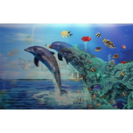 Dolphins / Fish
