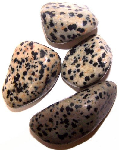 Dalmatian Stone Large Tumble Stones
