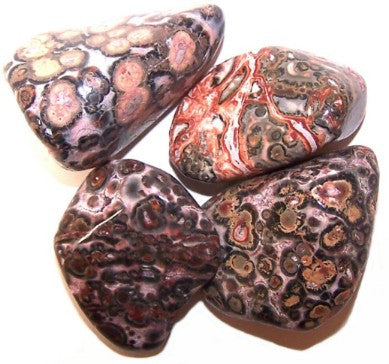 Leopard Skin Large Tumble Stones